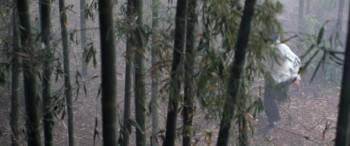 Screenshot 3 from Kung Fu Games (Full Movie)