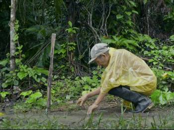 Screenshot 2 from La Disparition (Full Movie)
