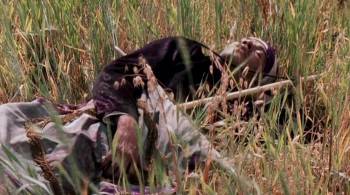 Screenshot 1 from Las vueltas del citrillo (Full Movie)