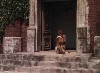 Screenshot 2 from Lassie Come Home (Full Movie)