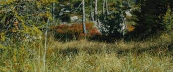 Screenshot 2 from Lassie - Ein neues Abenteuer (Full Movie)