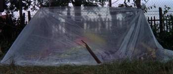 Screenshot 3 from Le Mans (Full Movie)