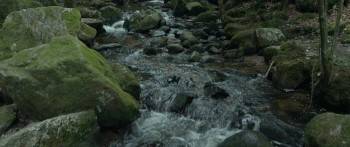 Screenshot 1 from Le torrent (Full Movie)