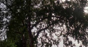 Screenshot 1 from Leave It to Beaver (Full Movie)