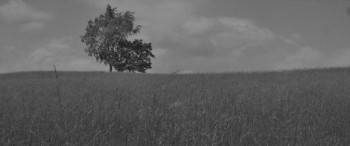 Screenshot 3 from Leda (Full Movie)