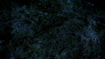 Screenshot 1 from Legend of the Bog (Full Movie)
