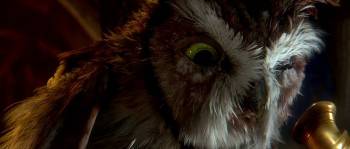 Screenshot 3 from Legend of the Guardians: The Owls of Ga'Hoole (Full Movie)