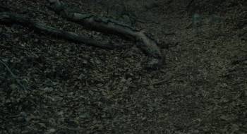 Screenshot 1 from Legend of the Muse (Full Movie)
