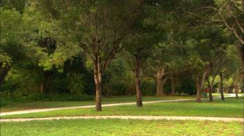 Screenshot 3 from Lenny the Wonder Dog (Full Movie)