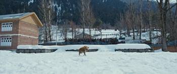 Screenshot 1 from Leo (Full Movie)