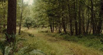 Screenshot 1 from Les aventures de Philibert, capitaine puceau (Full Movie)