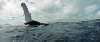 Screenshot 2 from Les gardiennes de la planète (Full Movie)
