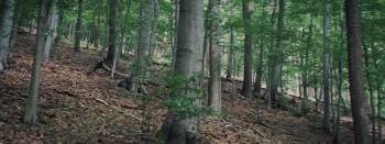 Screenshot 1 from Lesní vrah (Full Movie)