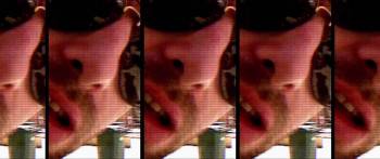 Screenshot 3 from Liam Gallagher: As It Was (Full Movie)