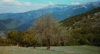 Screenshot 3 from Life Is Beautiful (Full Movie)