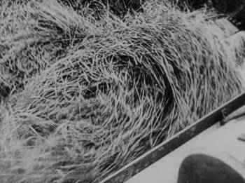 Screenshot 1 from Life Is Ours (Full Movie)