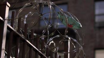 Screenshot 2 from Lift (Full Movie)