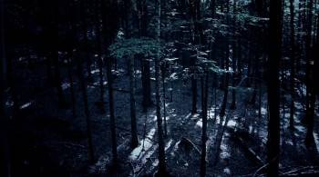 Screenshot 2 from Little Dead Rotting Hood (Full Movie)