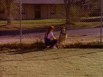 Screenshot 1 from Little Heroes (Full Movie)