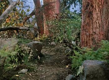 Screenshot 1 from Little Red Riding-Hood (Full Movie)