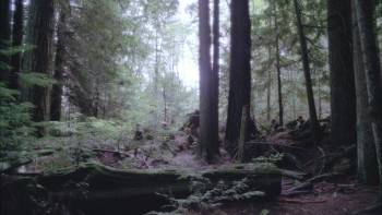 Screenshot 1 from Living with the Dead (Full Movie)