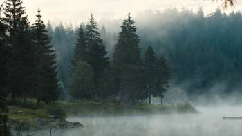Screenshot 1 from Loch Ness Monster Captured (Full Movie)