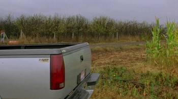 Screenshot 3 from Locusts: The 8th Plague (Full Movie)