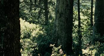 Screenshot 1 from London River (Full Movie)