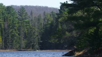 Screenshot 1 from Loons: A Cry from the Mist (Full Movie)