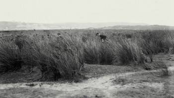 Screenshot 3 from Loopers: The Caddie's Long Walk (Full Movie)