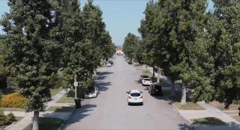 Screenshot 1 from Lost in Tomorrow (Full Movie)