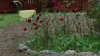Screenshot 1 from Lotta 2 - Lotta flyttar hemifrån (Full Movie)