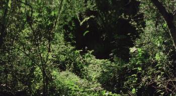 Screenshot 1 from Love Letters of a Portuguese Nun (Full Movie)