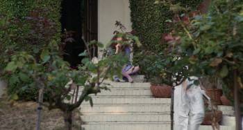 Screenshot 1 from Love Streams (Full Movie)