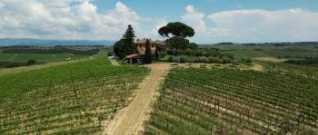 Screenshot 1 from Love, Wine & Salt: A Tuscan Romance (Full Movie)