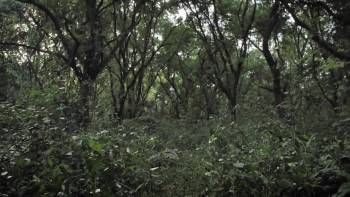 Screenshot 1 from M.I.A. A Greater Evil (Full Movie)