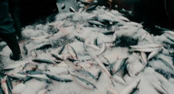 Screenshot 1 from Maelstrom (Full Movie)