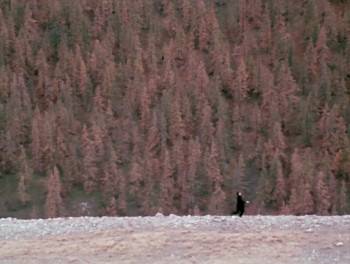 Screenshot 1 from Magical Mystery Tour (Full Movie)