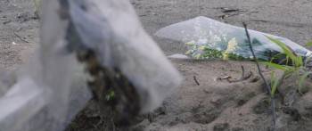 Screenshot 2 from Mamorarenakatta mono tachi e (Full Movie)