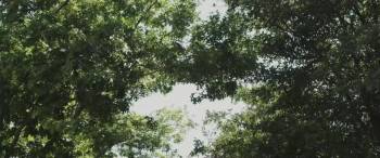 Screenshot 1 from Manos Brujas (Full Movie)