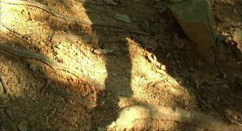 Screenshot 1 from Marathon (Full Movie)