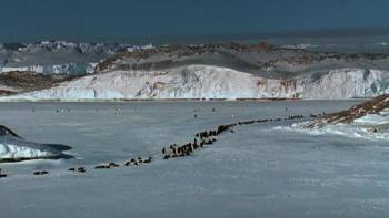 Screenshot 2 from March of the Penguins (Full Movie)