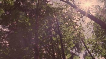 Screenshot 1 from Masters of Horror Pro-Life (Full Movie)