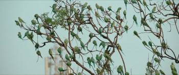 Screenshot 1 from Meiyazhagan (Full Movie)
