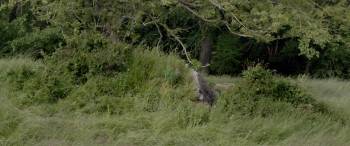 Screenshot 1 from Metamorphoses (Full Movie)