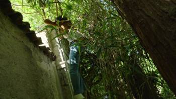 Screenshot 1 from Meurtres à Nancy (Full Movie)