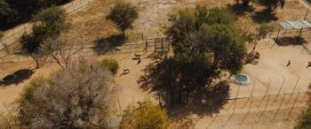 Screenshot 1 from Mia and the White Lion (Full Movie)