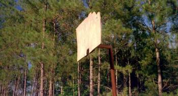 Screenshot 1 from Michael Jordan to the Max (Full Movie)