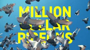 Screenshot 2 from Million Dollar Pigeons (Full Movie)