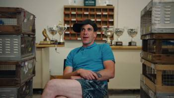 Screenshot 3 from Million Dollar Pigeons (Full Movie)